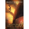 A Wasteland of My God's Own Making: A Shattered Sands Novella