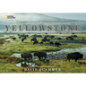 Yellowstone: A Journey Through America's Wild Heart
