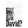 Which One Was David? (hardback)
