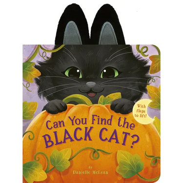 Can You Find the Black Cat?: With Flaps to Lift!