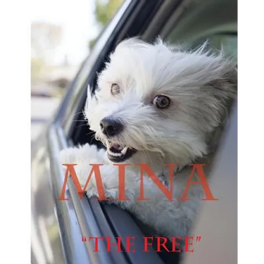 Mina: The Free