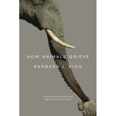How Animals Grieve