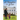 A Daughter Is Given