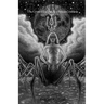 Lil Az H Az Lil: The Grimoire of the Arachnean Goddess
