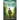 The Missing