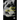 Spirit of Garbo