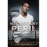 Necessary Peril: A Small-town Christian Romantic Suspense (Large Print)