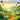 Taha the Kava: and the Rainbow of Big Feelings