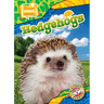 Hedgehogs