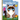 The Little Grumpy Cat That Wouldn't