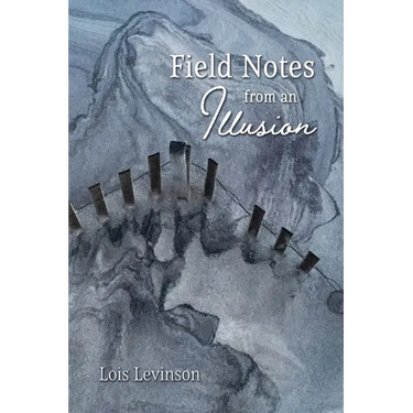 Field Notes from an Illusion