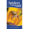 Spiders of the United States & Canada: Easily Identify 158 Common Species