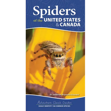 Spiders of the United States & Canada: Easily Identify 158 Common Species