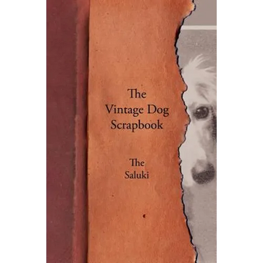 The Vintage Dog Scrapbook - The Saluki