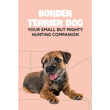 Border Terrier Dog: Your Small but Mighty Hunting Companion: Border Terrier Breed Info, Pictures, Facts and Care Guide
