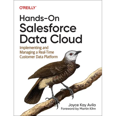 Hands-On Salesforce Data Cloud: Implementing and Managing a Real-Time Customer Data Platform