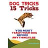 Dog Tricks: 15 Tricks You Must Teach Your Dog before Anything Else
