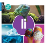 II