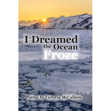 I Dreamed the Ocean Froze