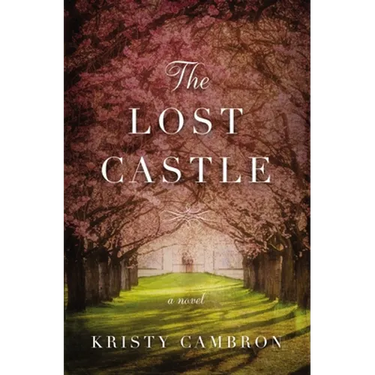 The Lost Castle: A Split-Time Romance