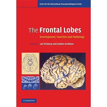 The Frontal Lobes