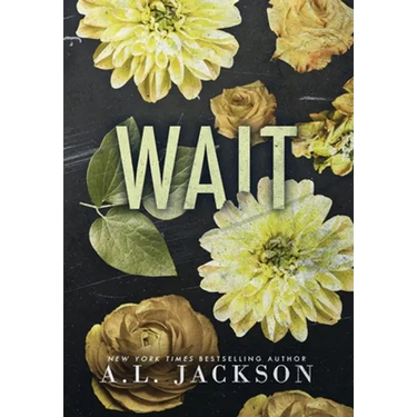 Wait (Hardcover)