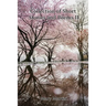 Collection of Short Stories and Poems II