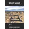 Bouncy Bounce