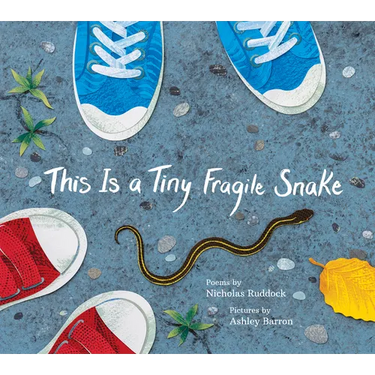 This Is a Tiny Fragile Snake