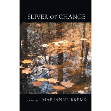 Sliver of Change