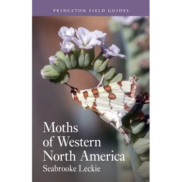 Moths of Western North America