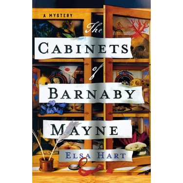The Cabinets of Barnaby Mayne: A Mystery