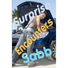 Surprise Encounters: A Gay Erotica Anthology