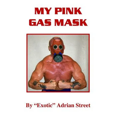 My Pink Gas Mask