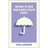 What Is the Welfare State For?