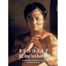 WSL Ving Tsun Kuen Hok: An Overview in the Form of Essays