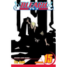 Bleach, Vol. 15: Beginning of the Death of Tomorrow