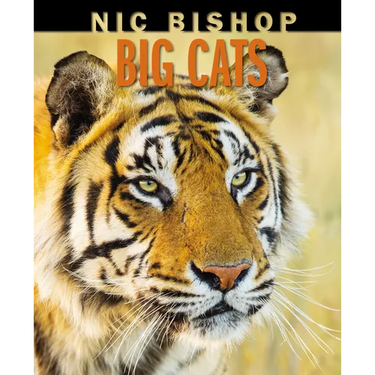 Nic Bishop Big Cats