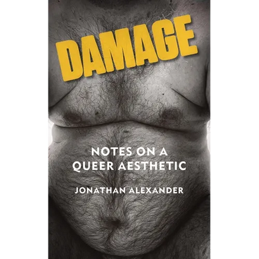 Damage: Notes on a Queer Aesthetic