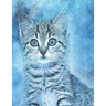 Cat lovers Sketch Book: with 20 cat coloring pages to color, paint, doodle, and sketch . for all cat lovers, 8.5 x 11