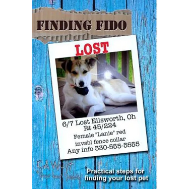 Finding Fido: Practical Steps for Finding Your Lost Pet
