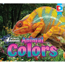 All about Animals - Animal Colors