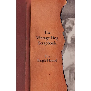 The Vintage Dog Scrapbook - The Beagle Hound