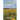 The Dandelion Garden