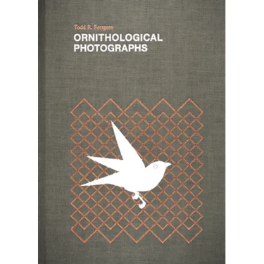 Ornithological Photographs