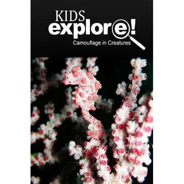 Camouflage In Creatures - Kids Explore: Animal books nonfiction - books ages 5-6