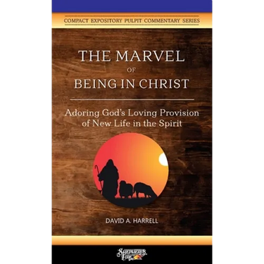 The Marvel of Being in Christ: Adoring God's Loving Provision of New Life in the Spirit