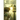 The Speed Merchant