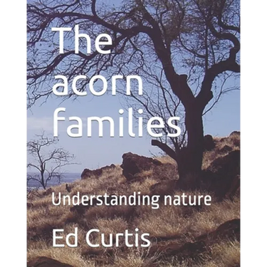 The acorn families: Living lessons for kids