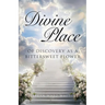 Divine Place of Discovery As a Bittersweet Flower